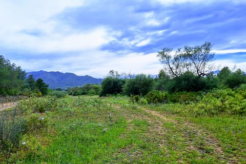 Finca i Ginestar, Tarragona, Ginestar - € 36.000 | Ref: CC827 - foto 10